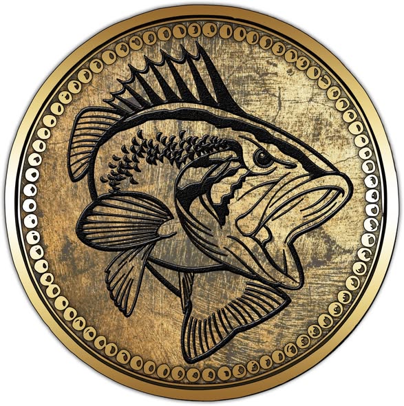 KayakBassFishing tweet media