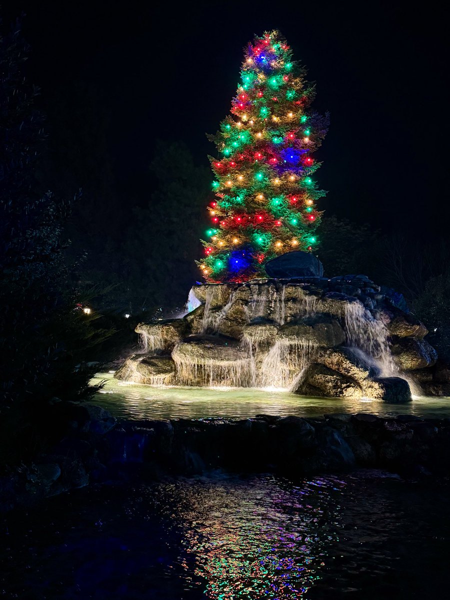 sofia_emn's tweet image. It’s tiiiiiiiiiime 🎄🥰