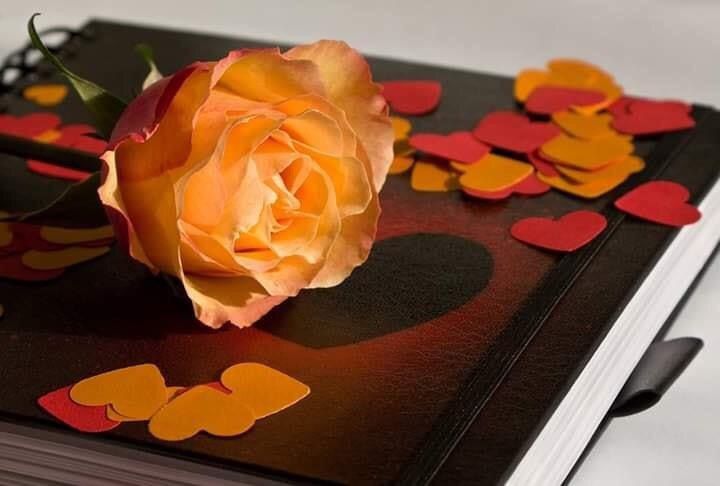 " فِي الهُدوء نَعيم وفي الصّمت حياة وما بين الإثنين تفاصيل لا أحدَ يُدركها "