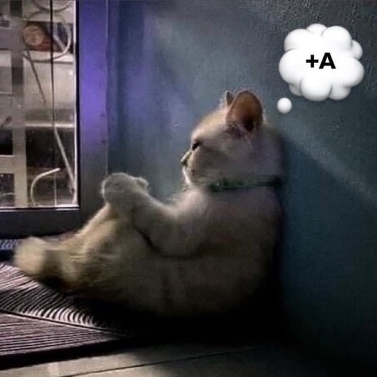 هواجيس طلاب الجامعة هالايام