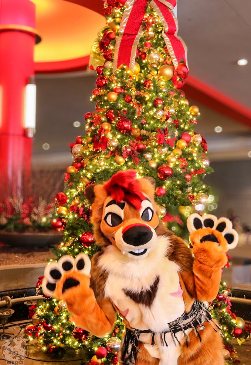 🦷 Fangz tweet media