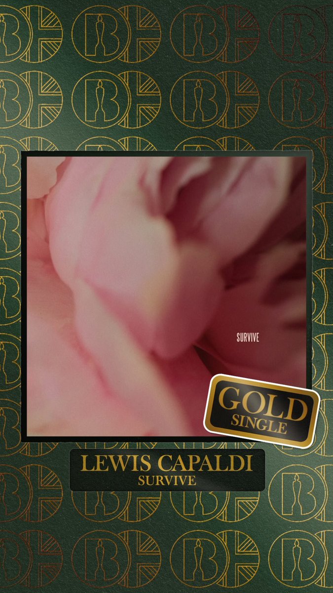 Bee 🐝 tweet media