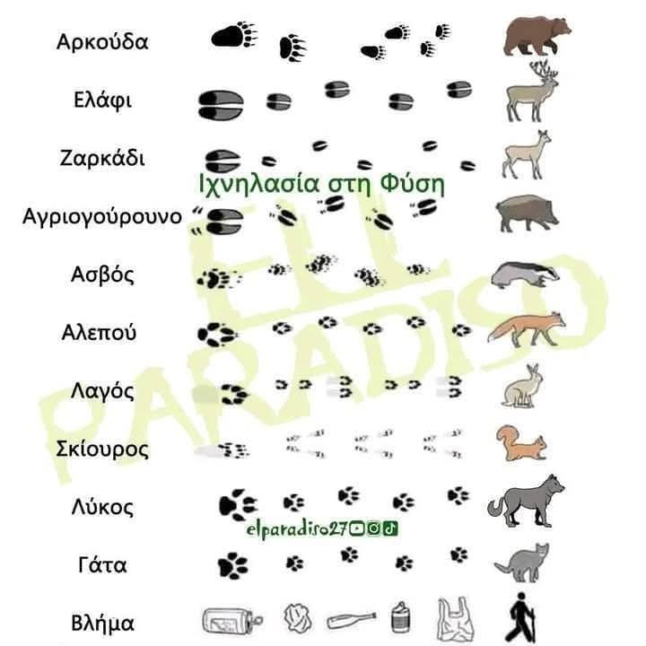 Apopsy Syrou News (@apopsysyrou) on Twitter photo 