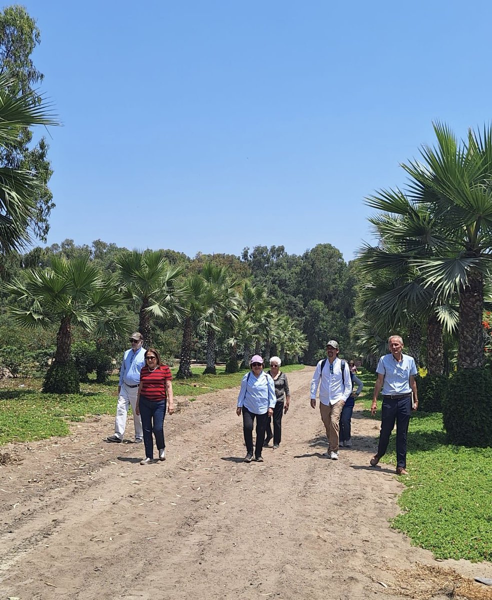 Fabiola Ma. Morales Castillo tweet media