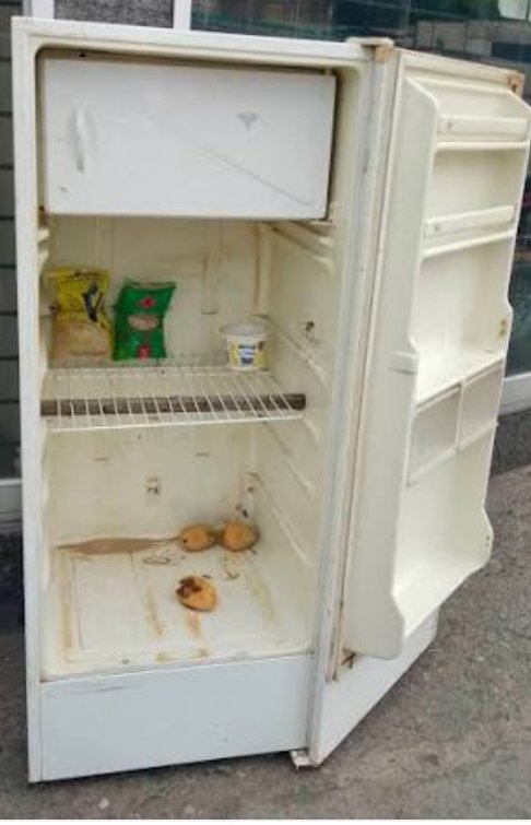 <a href="/Sintrainces/">Sindicato del Inces</a> <a href="/WuikelmanAngelP/">Wuikelman Angel P.</a> <a href="/Incesocialista/">Inces</a> #19dic la cruda realidad , mientras el Pdte <a href="/WuikelmanAngelP/">Wuikelman Angel P.</a> tiene la nevera full de alimentos, el resto de los trabajadores del <a href="/Incesocialista/">Inces</a> la tenemos vacías , que contrariedad del que se hace llamar Obrerista , pague lo que nos debe , antes que se devalue más <a href="/Sintrainces/">Sindicato del Inces</a>