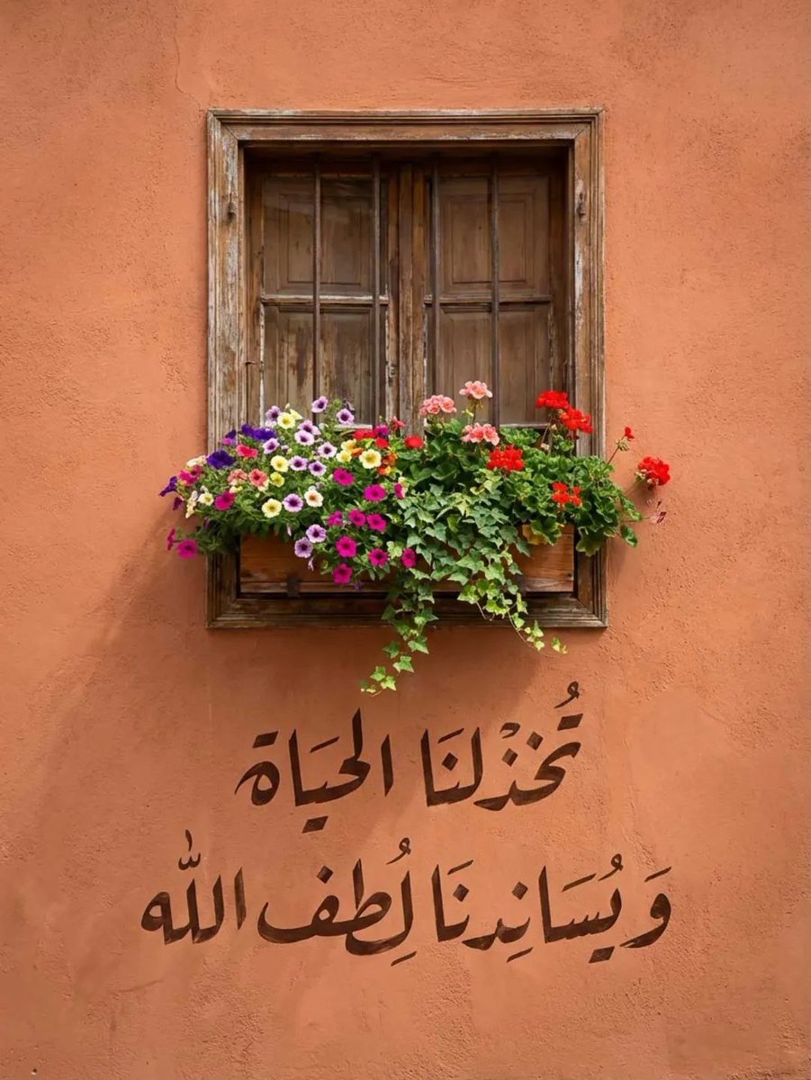 لغة الياسمين (@wweww_22) on Twitter photo 