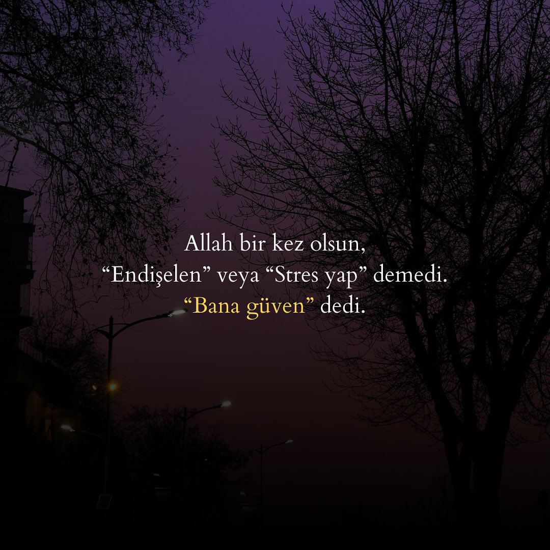 zarif_lisann's tweet image. 