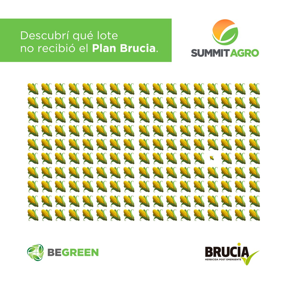 Summit Agro Argentina tweet media