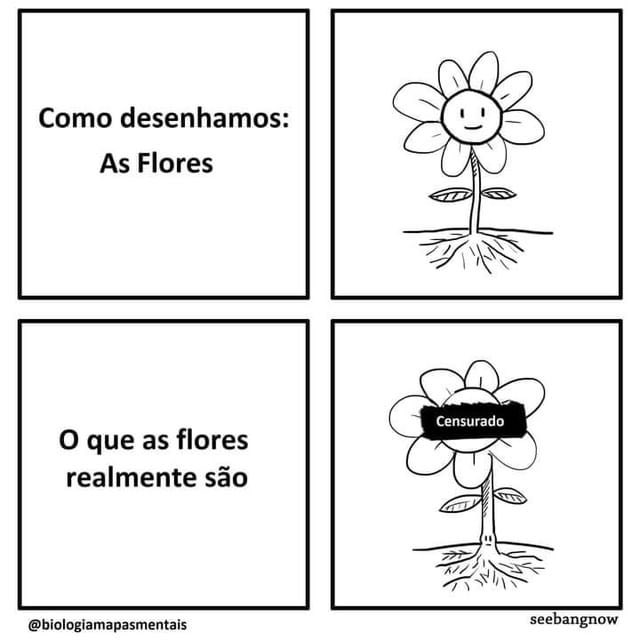 memeinteligente's tweet photo. https://t.co/IxSZDzKFgv