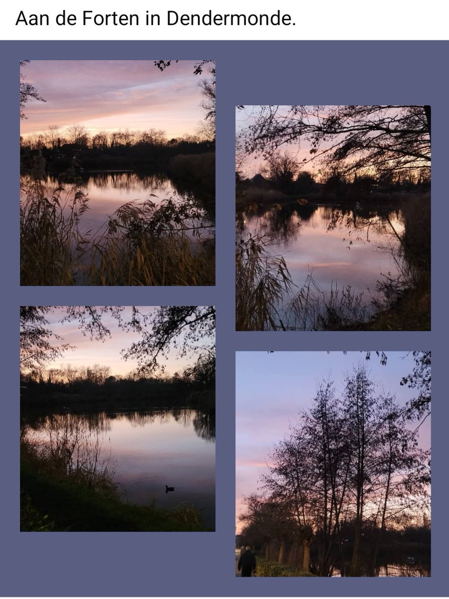 AnnemarieHeyte1's tweet image. 