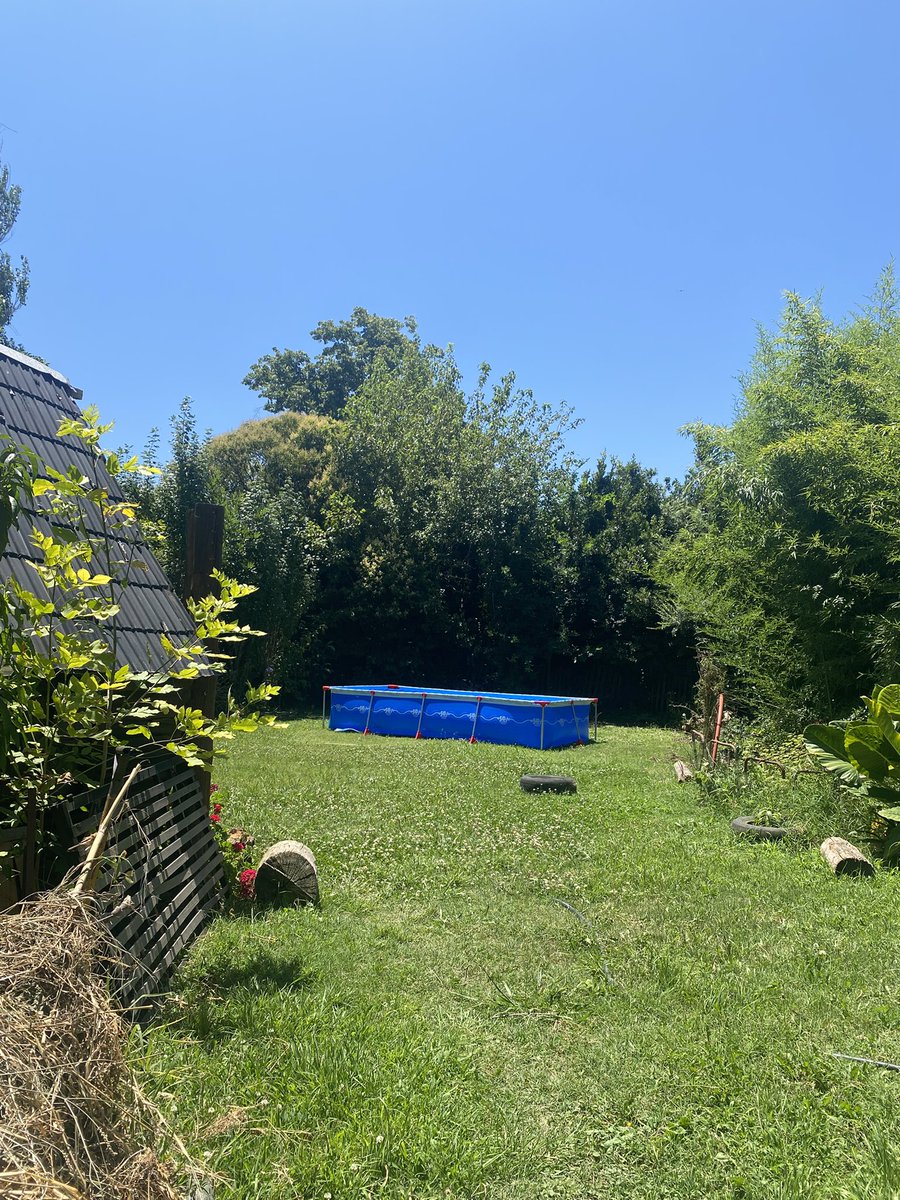 esto y que nadie me rompa las pelotas