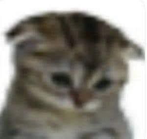 cmhiby's tweet image. Kebangunn karna laperr