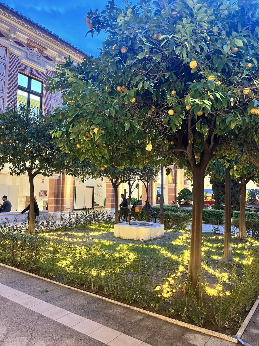 Cierre a un semestre tan apasionante como duro, toca descansar. Feliz Navidad a todos.