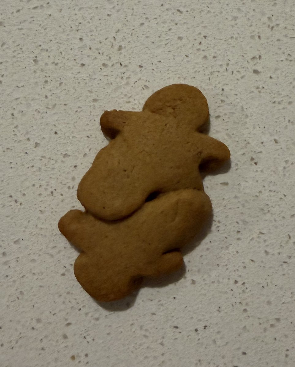 4everwondring's tweet photo. oomfs do you like my reneé inspired gingerbreads #falala #✂️ https://t.co/JIYI1dPZjr