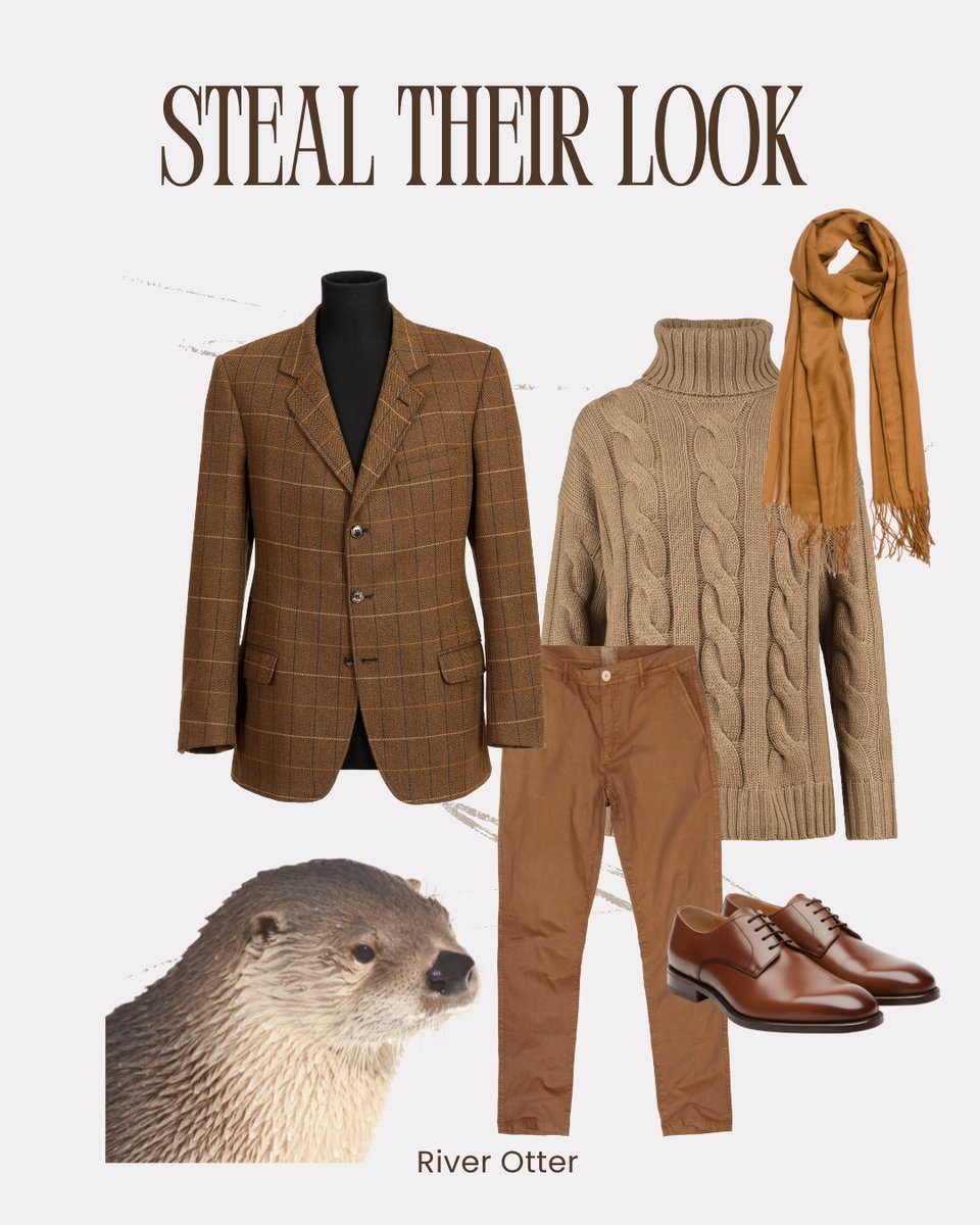 NCAquariumatPKS's tweet image. Whether you're heading to a holiday party or staying in to be cozy, maybe try out a holiday look inspired by some of the animals here at NCAPKS! Which is your favorite? Is there a look you'd like to see?

#lookbook #holidaylookbook #stealtheirlook #fishlookbook #animalmeme