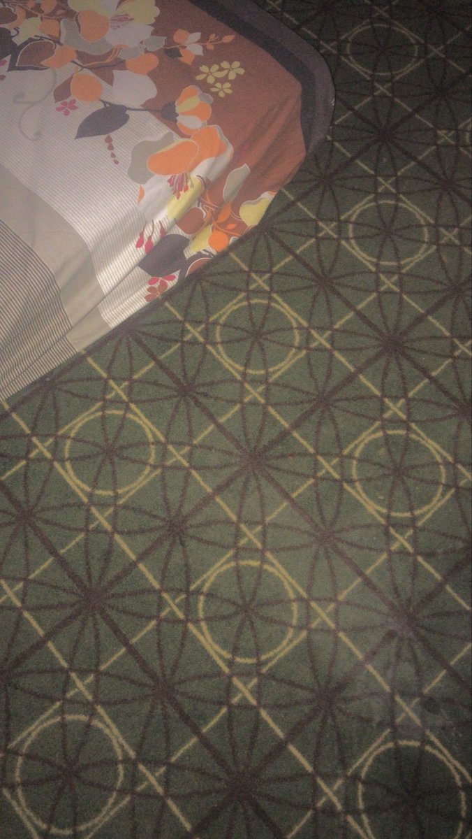 gruovy's tweet image. 