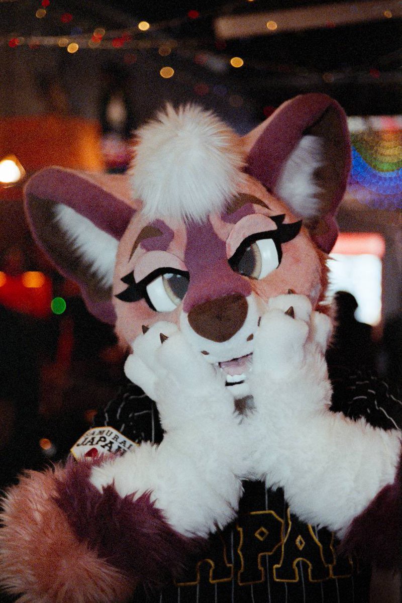 Flapjack 🪶 tweet media