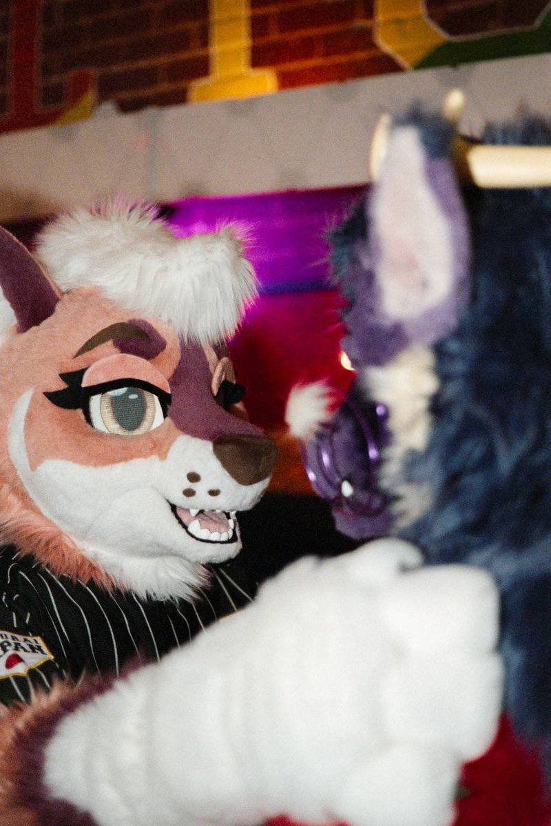 Flapjack 🪶 tweet media