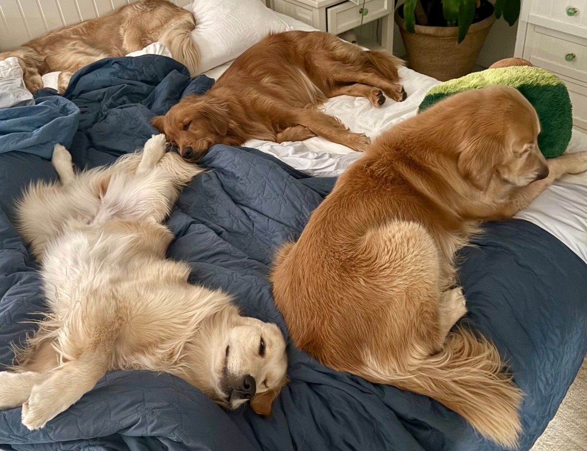 Bedtime is extremely cozy in the house these days