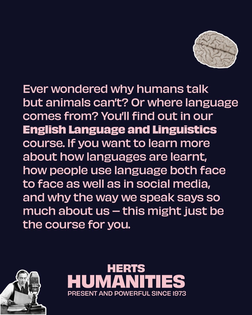 The School of Creative Arts tweet media