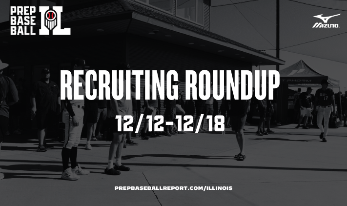 Prep Baseball Illinois tweet media