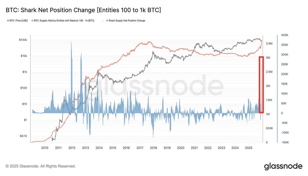 BITCOIN SHARKS ARE BUYING LIKE MADMEN RIGHT NOW!!!