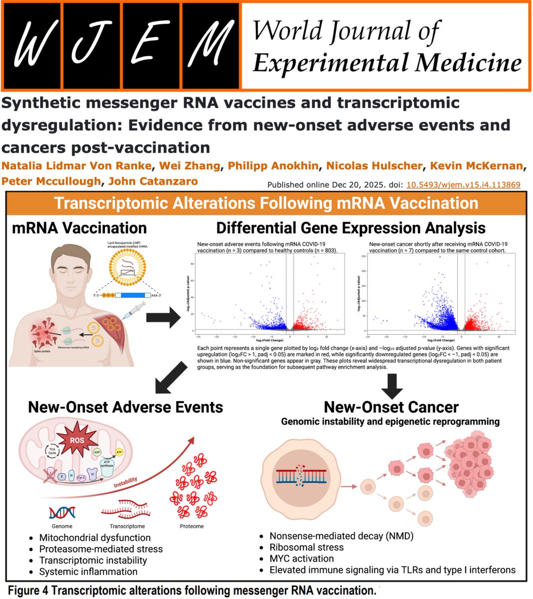NicHulscher's tweet image. 🚨BREAKING: Our CENSORED Study Showing mRNA Injections Induce SEVERE Genetic Disruption Linked to Cancer and Chronic Disease Is Now Peer-Reviewed and Published

We declare a MAJOR victory against the Academic Journal Cartel and their PubPeer Mob enforcement apparatus.

Using…