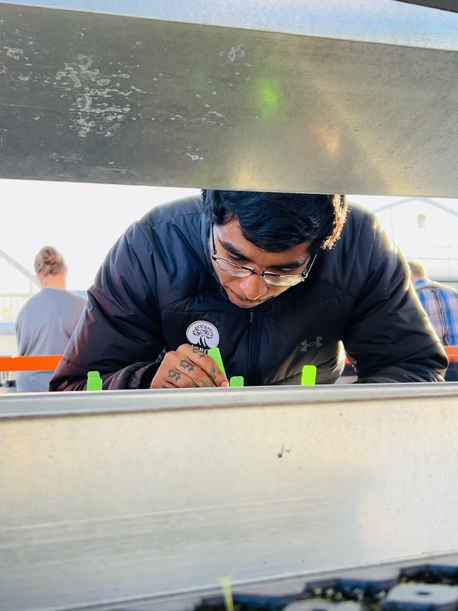 Veracious tweet media