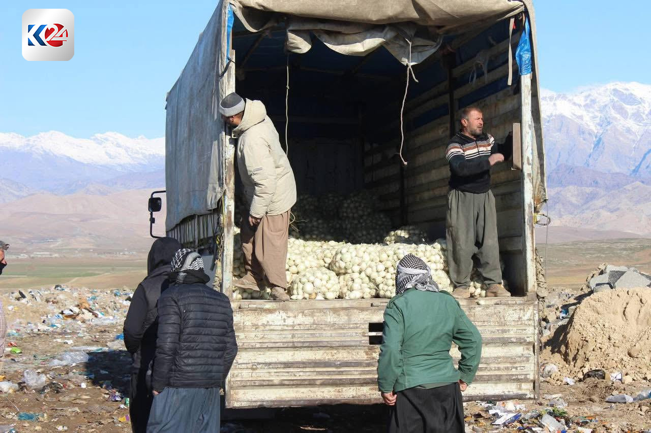 إتلاف عدة أطنان من البصل الفاسد كانت قد أُدخلت إلى إقليم كوردستان عبر منفذ كيلي الحدودي في منطقة بشدر 