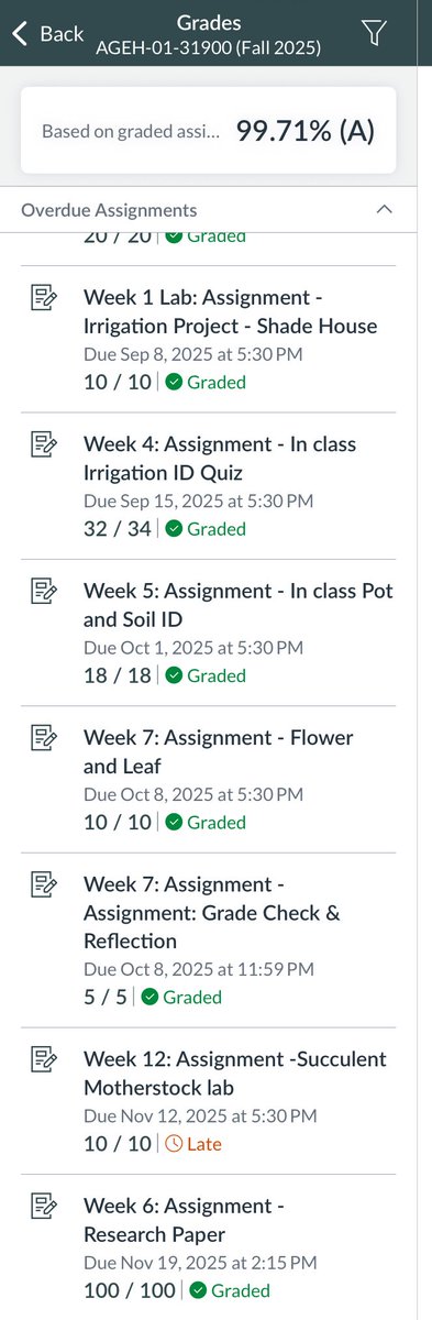 Veracious tweet media