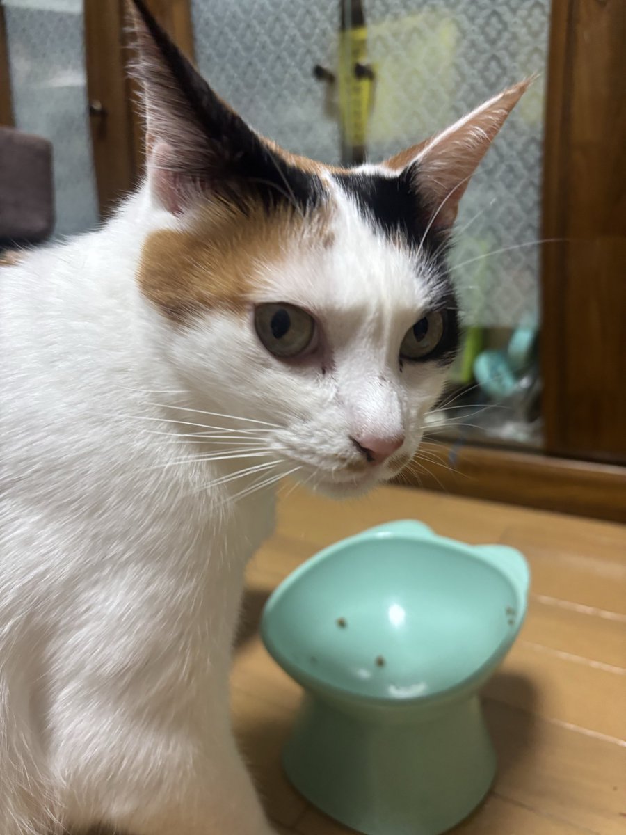 バズくん (@BZ24pleasure15) / Posts / X