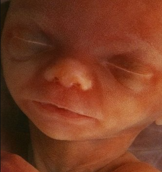 LifeNews.com tweet media