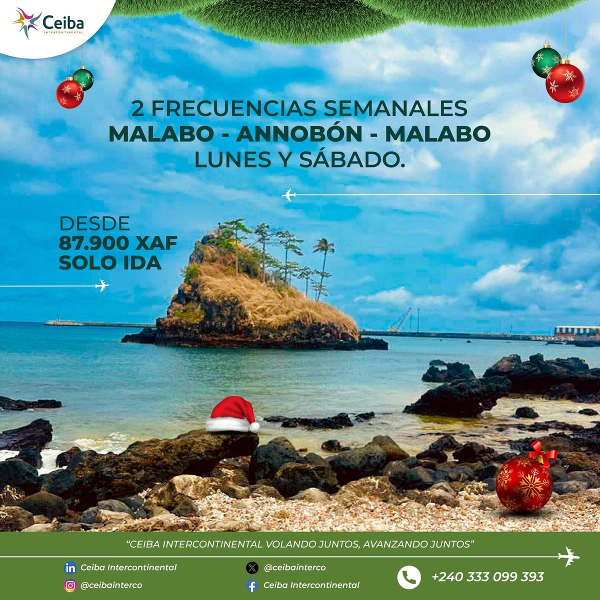 ✈️ Más vuelos, más oportunidades de encuentro
Ceiba Intercontinental te conecta con Annobón con 2 frecuencias semanales en la ruta Malabo – Annobón – Malabo, lunes y sábados,
💰 desde 87.900 XAF (solo ida).

🎄 Estas fiestas, viaja seguro y con comodidad
#CeibaIntercontinental