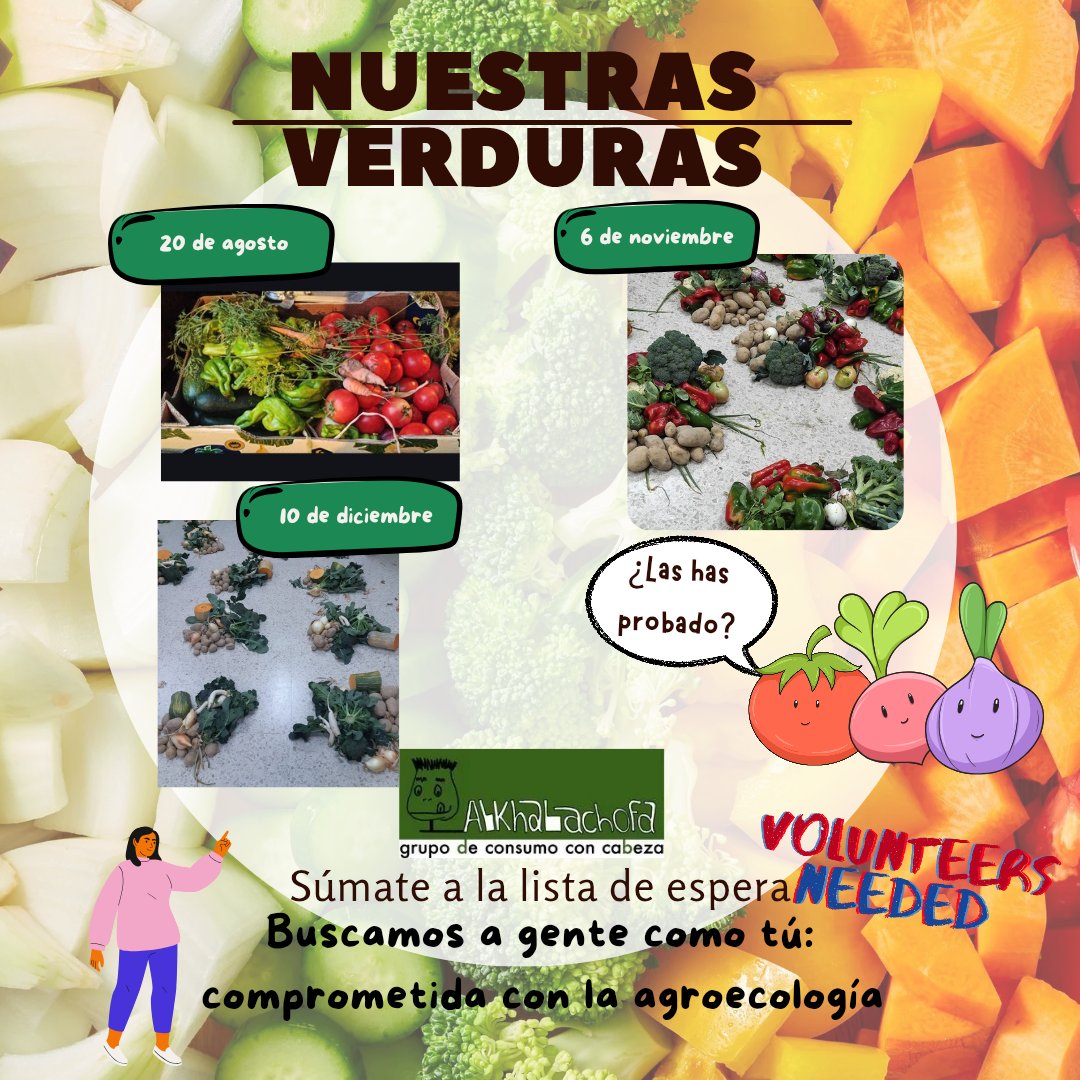 📅 20 de agosto🍅
📅 6 de noviembre🥬
📅 10 de diciembre🥦

¿Has probado nuestras verduras🍅🥬🥦?

¡Por 1ª vez en 4 años🥇NO tenemos bolsas libres de verduras🍆! Y tenemos lista de espera✍️🏾🥹. Buscamos a gente comprometida con la agroecología👨🏽‍🌾👩🏽‍🌾 como tú
#grupodeconsumoconcabeza