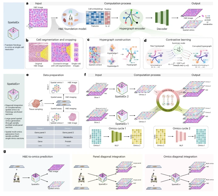 Nature Methods tweet media