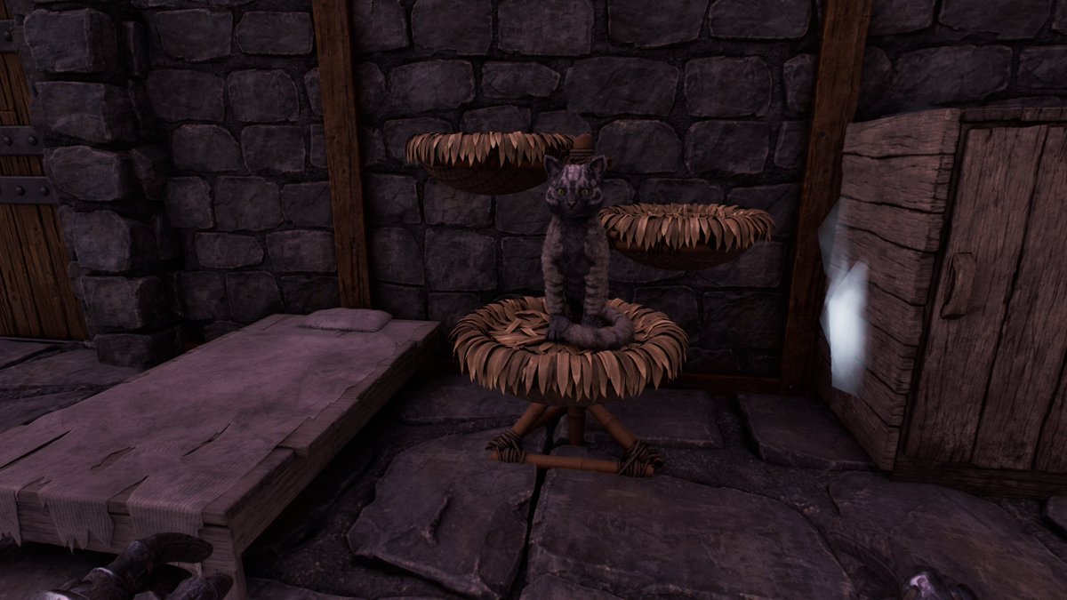 i love this little pet display 😭🥹

#ARKSurvivalAscended #PlayARK #ARKLostColony