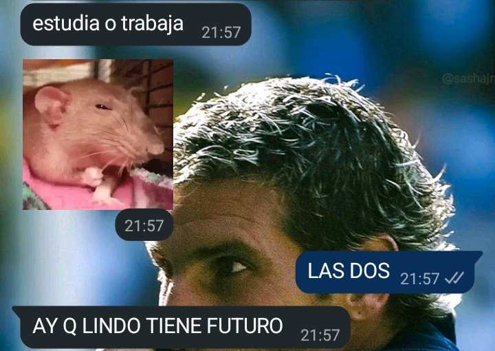 donde tenían la vara
