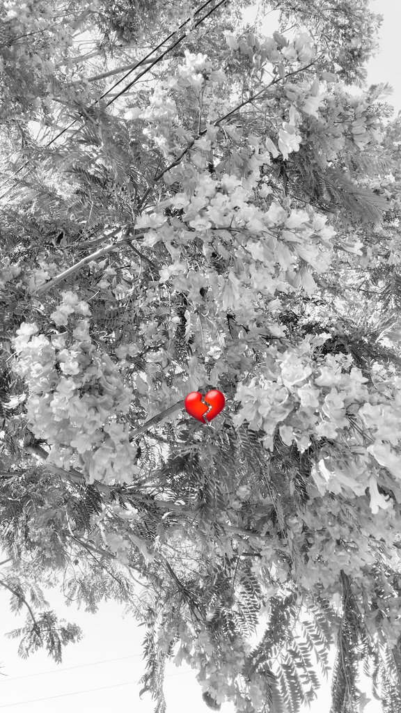 Primero_Sere_Yo's tweet photo. Fui perdiendo mi color...
con cada dolor...

Me he perdido en medio
de tanta acusación injusta...

Cómo se vuelve cuando
una se siente tan rota? https://t.co/O1c4eEXBqz