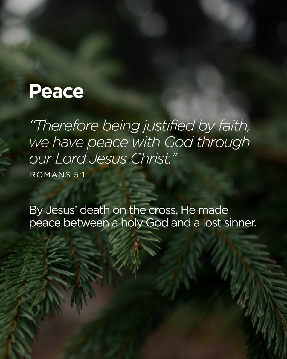 ThruTheBibleNet's tweet image. God’s Christmas tree is the cross of Christ. The gifts God gives us through Jesus meet our deepest needs and fill our lives with His grace. This season, take time to reflect on all that is yours because of Him.
Download the Under the Tree booklet at TTB.org/Resources.