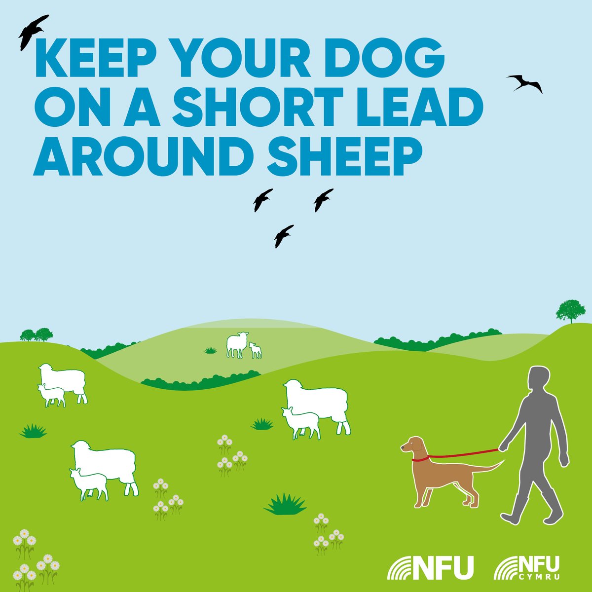 NFU Cymru 🚜 tweet media