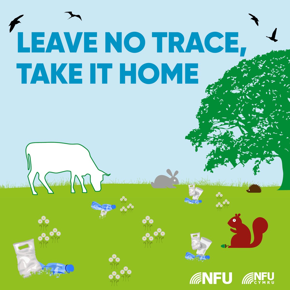 NFU Cymru 🚜 tweet media