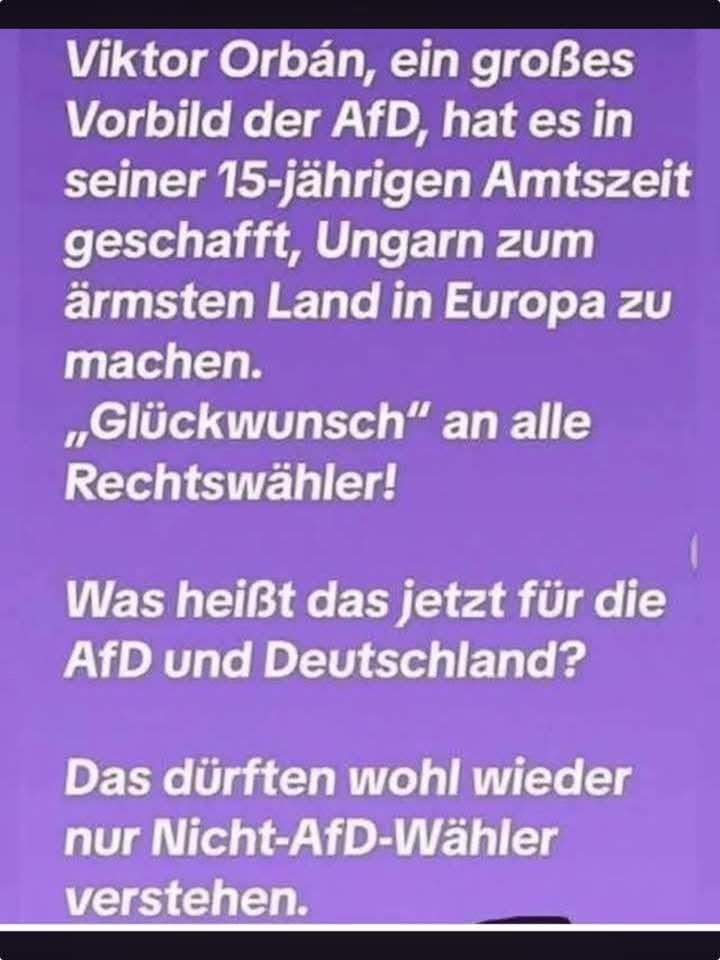 stecki 2.0😾📯🏳️‍🌈 (@stecki_2_0) on Twitter photo 