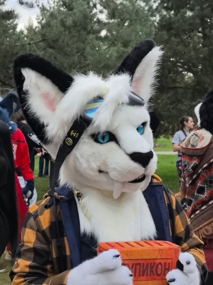 TeamasterMiro's tweet image. And again #FursuitFriday !❤️

There wasn't enough time to take a photo, so I took it from 📸@philippsilver  

#sillycon #sillycon2025 #SillyCon25