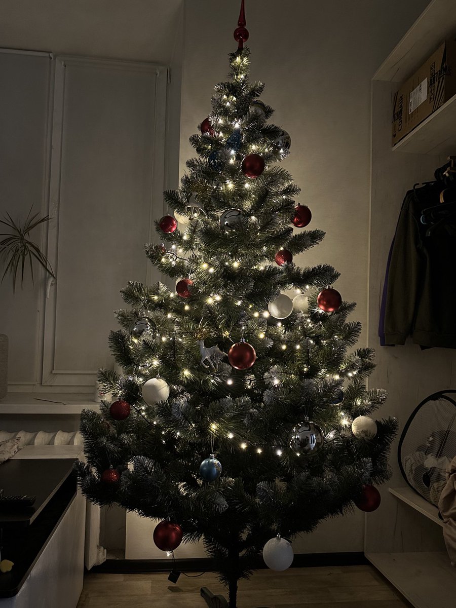 Нарешті ялинка вдома)