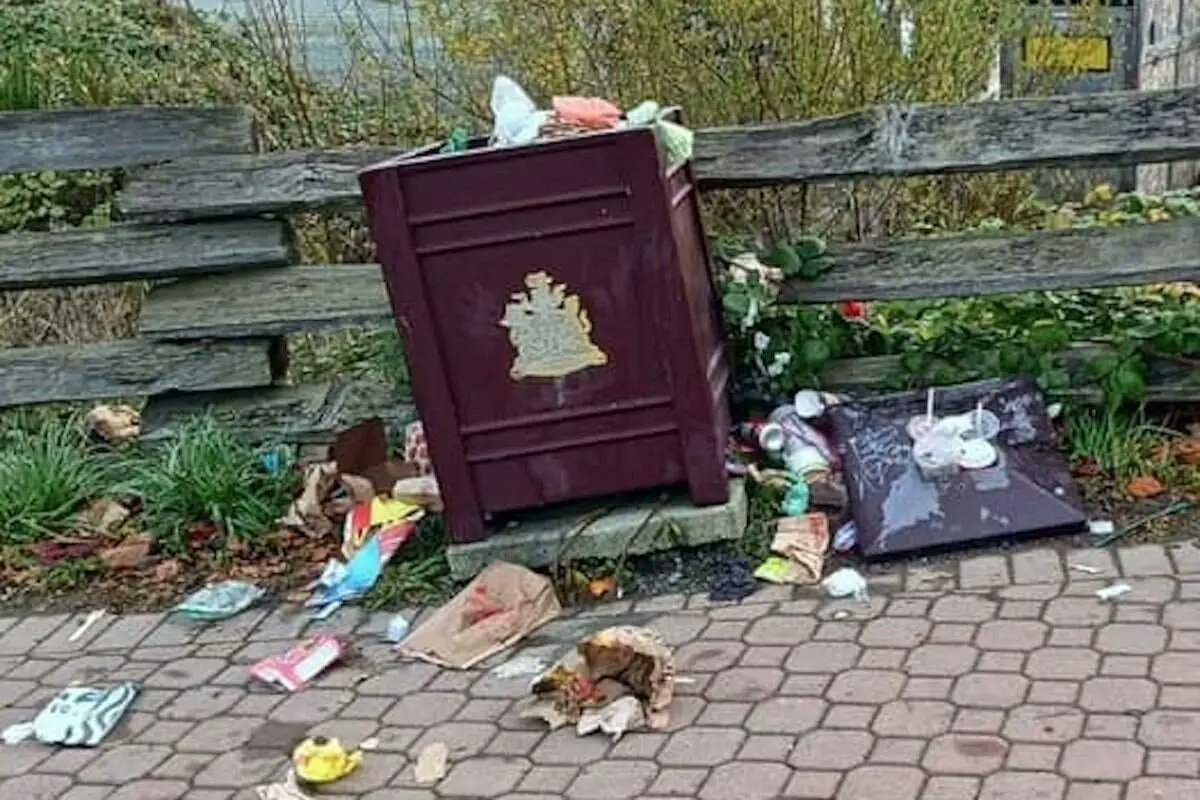 Trash talk: Langford-run residential waste collection idea closer to reality

Read more at: goldstreamgazette.com/2025/12/19/tra…
