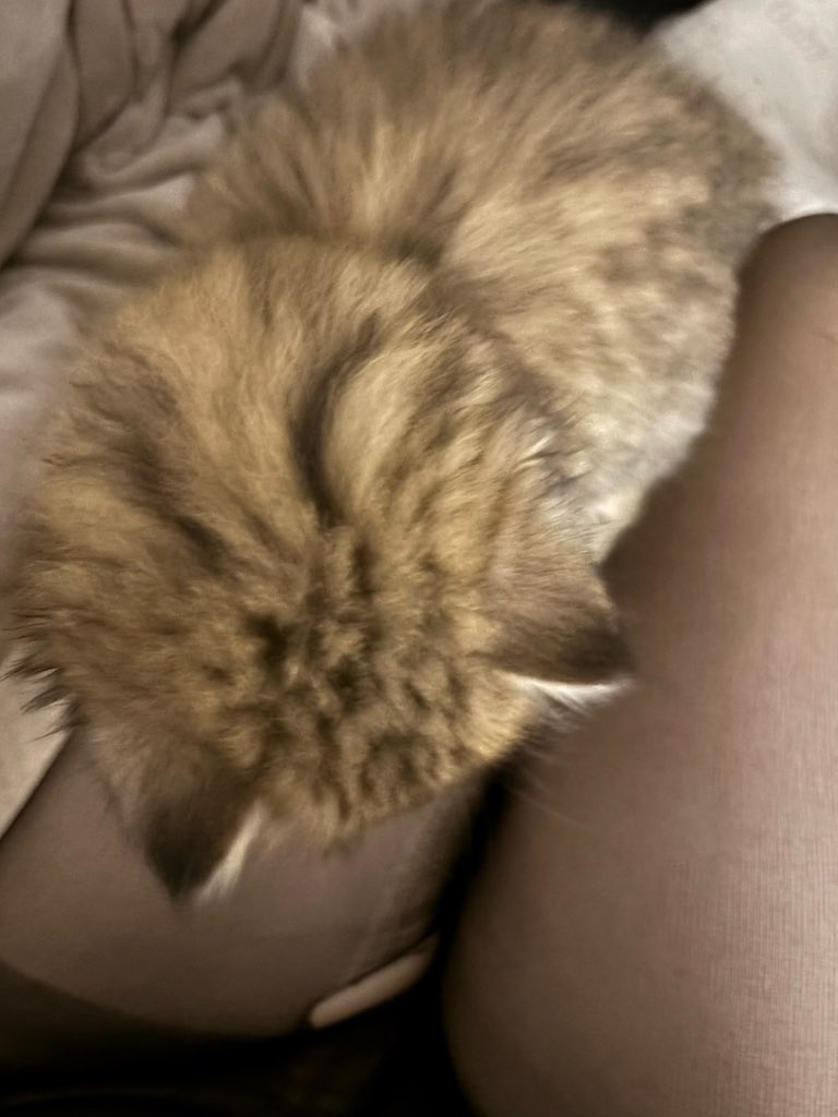 就这样在我冲的时候打扰我