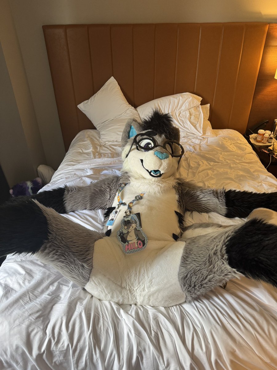 cat on da bed, what will he do

#FursuitFriday