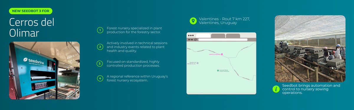 Seedorina tweet media