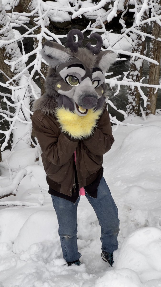 Can we get more snow?? Need more snowy deer pics 

#FursuitFriday