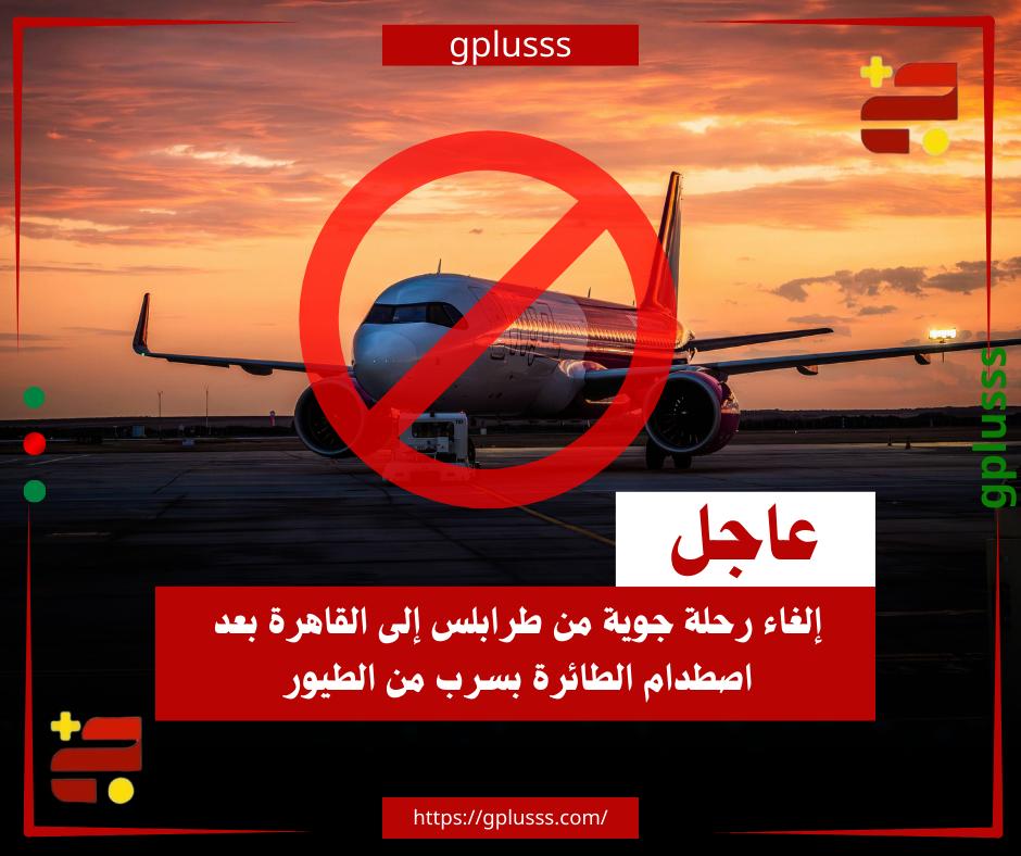 عاجل| إلغاء رحلة جوية من طرابلس إلى القاهرة بعد اصطدام الطائرة بسرب من الطيور #ليبيا 